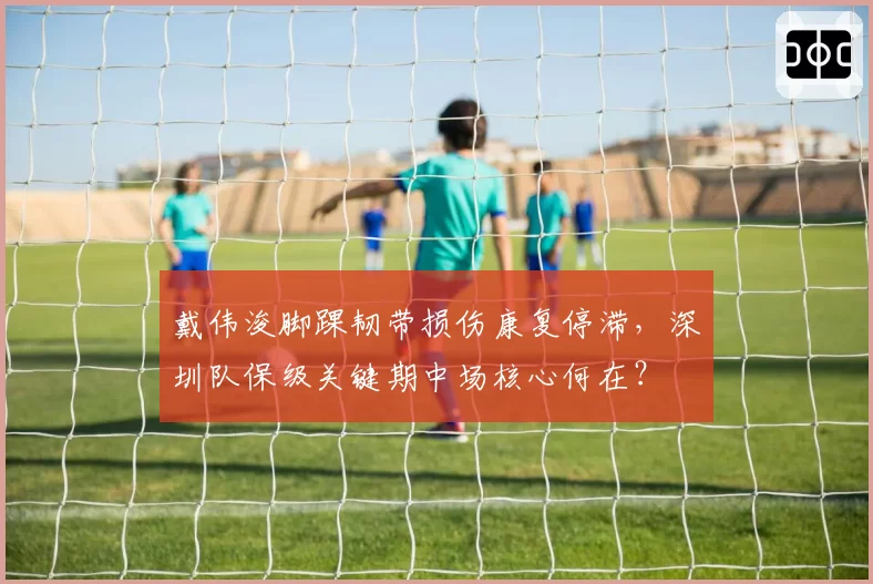 戴伟浚脚踝韧带损伤康复停滞,深圳队保级关键期中场核心何在?