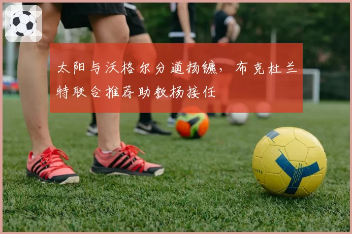 太阳与沃格尔分道扬镳,布克杜兰特联合推荐助教杨接任