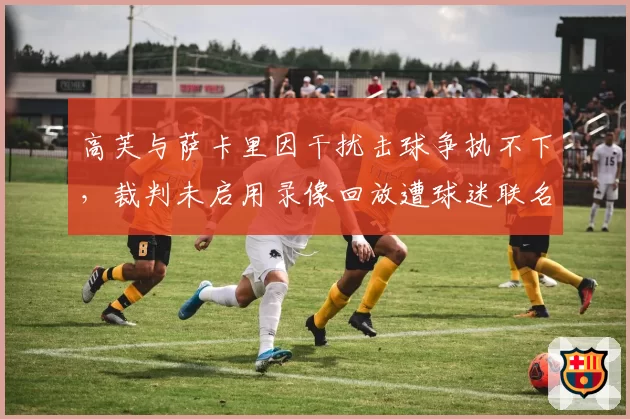 高芙与萨卡里因干扰击球争执不下,裁判未启用录像回放遭球迷联名抗议