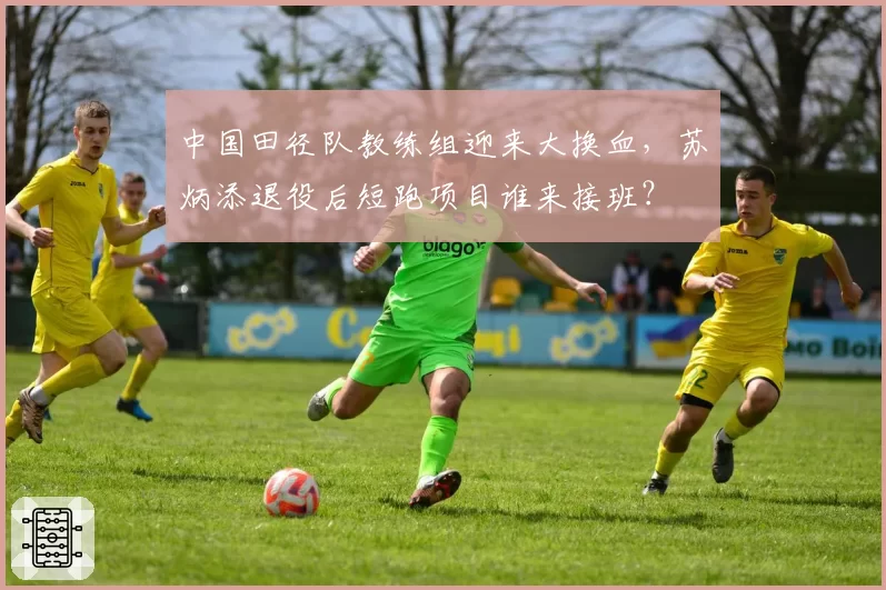 中国田径队教练组迎来大换血,苏炳添退役后短跑项目谁来接班?