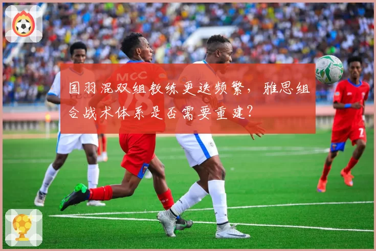 国羽混双组教练更迭频繁,雅思组合战术体系是否需要重建?